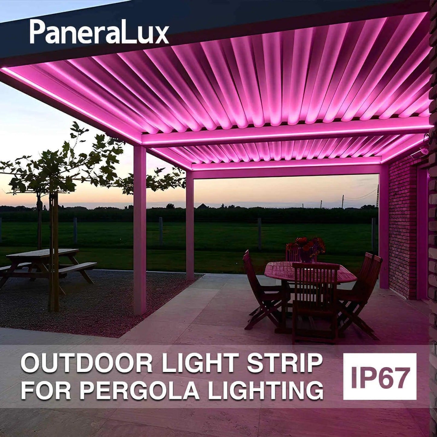 PaneraLux Colored Outdoor Lights LED on Patio Pergola