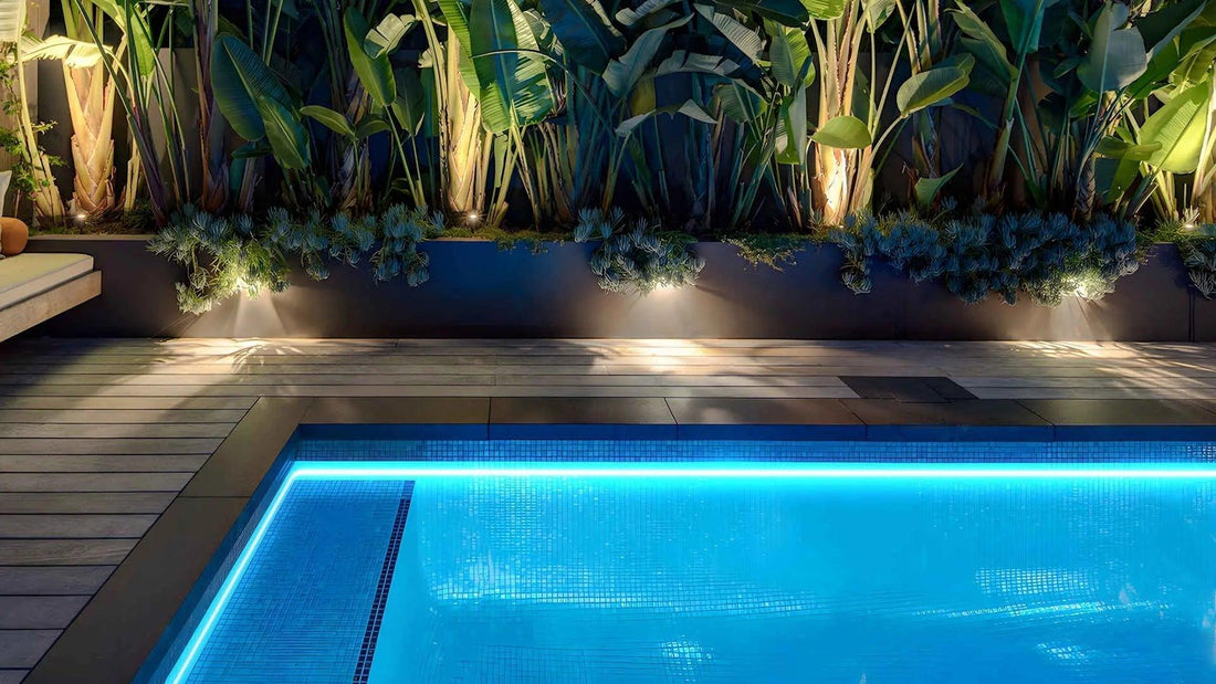 Regular Rectangular Pool Lighting Case: Shares & Insights