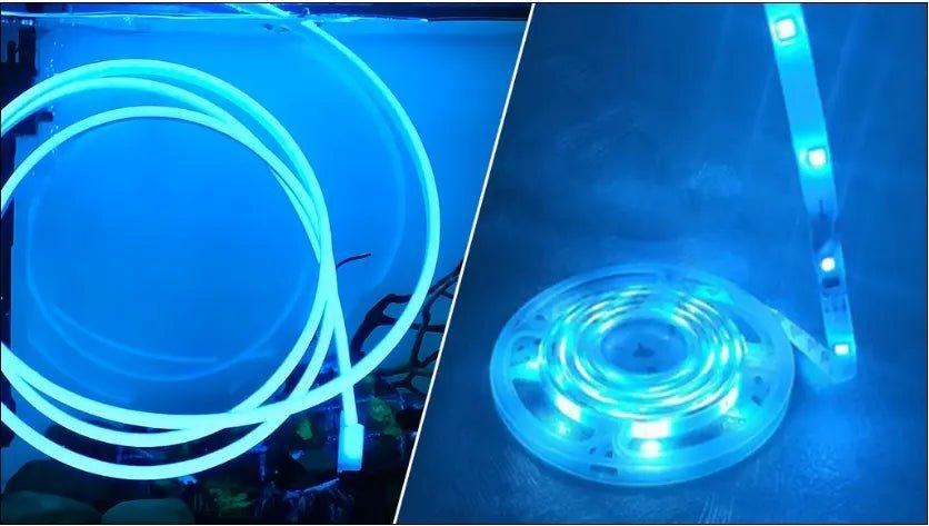 Blue pool lights and blue led strips