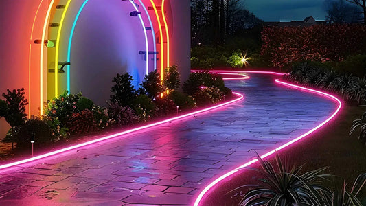 Color Light Attracts Flies