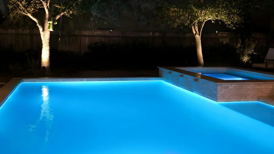 How Does Algae Grow in Pools